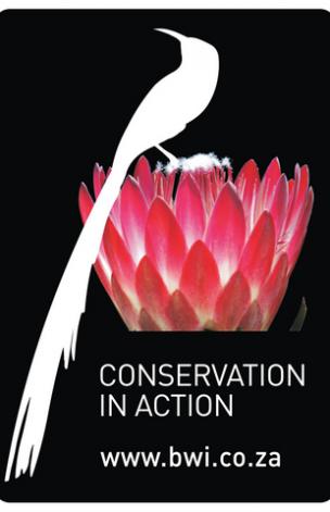 Conservation in Action - BWI